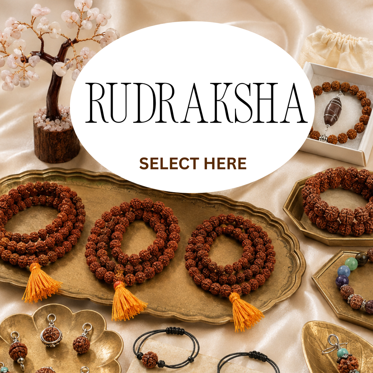 Rudraksha