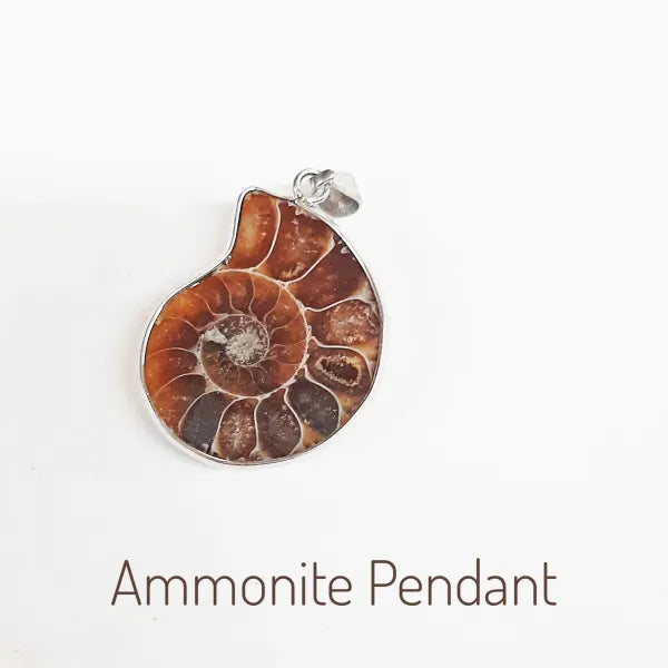 Ammonite Fossil Pendant
