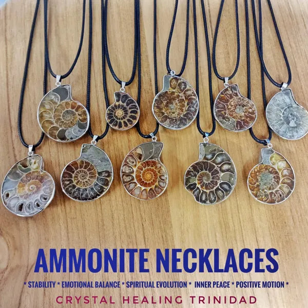 Ammonite Necklace