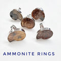Ammonite Rings- Adjustable