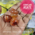 Carnelian Agate Tumble