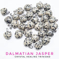 Dalmatian Jasper