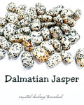Dalmatian Jasper (individual)
