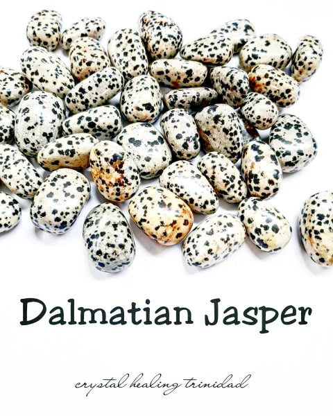 Dalmatian Jasper (individual)