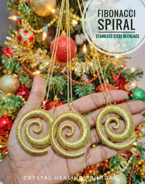 Fibonacci Spiral Stainless Steel Necklace