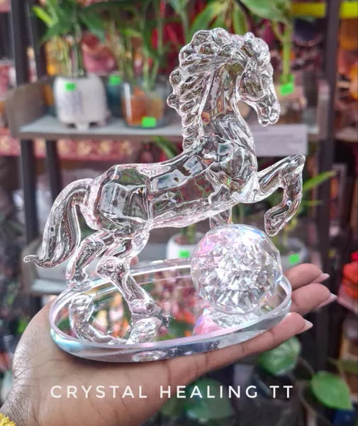 Glass Horse