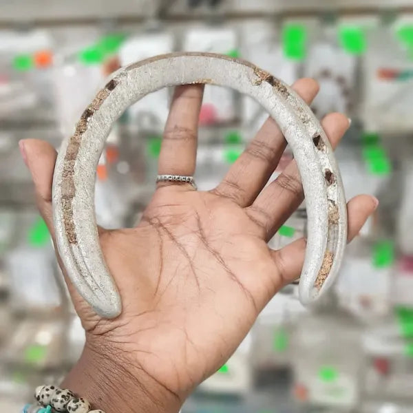 Lucky Used Horse Shoe