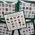 Natural Fossils And Minerals