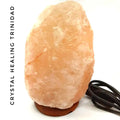 Natural Shape Pink Himalayan Salt Lamp