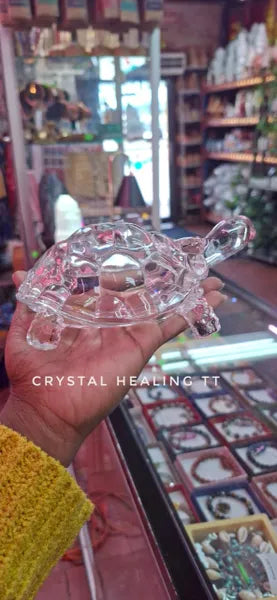 Prosperity Turtle