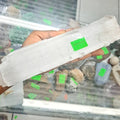 Selenite Crystal