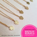 Stainless Steel with Pendant- Monstera Leaf