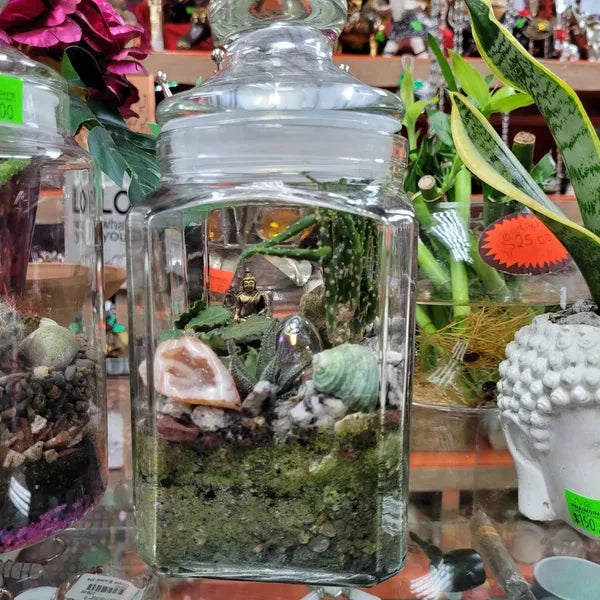 Terrarium