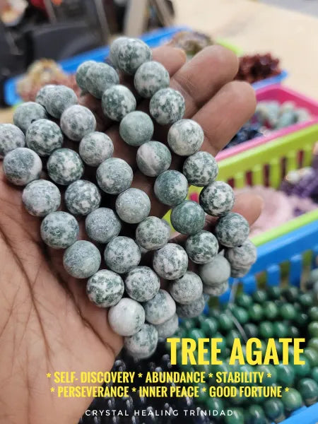 Tree Agate- Stretch Bracelets