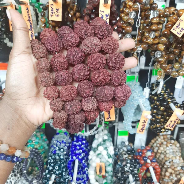 XL Rudraksha Bracelet